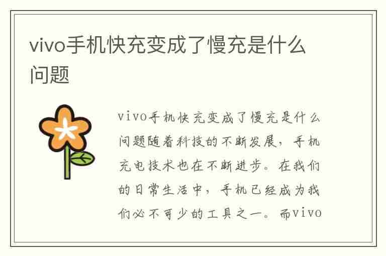 vivo手机快充变成了慢充是什么问题